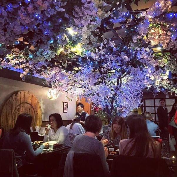 daily picdump weekend edition 55 pics 4.html - 55 HD Photos | Premium Gallery 2017