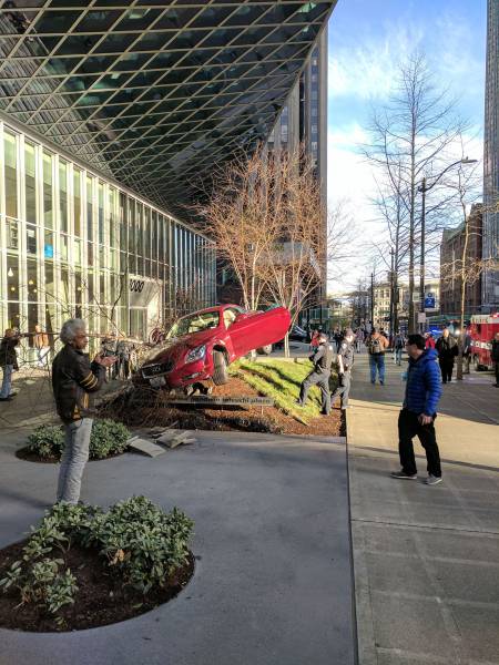 daily picdump weekend edition 55 pics 4.html - 55 HD Photos | Premium Gallery 2017