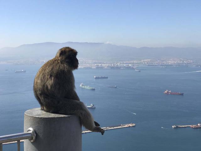 daily picdump weekend edition 55 pics 4.html - 55 HD Photos | Premium Gallery 2017