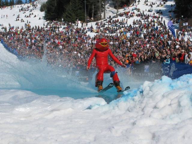 daily picdump 102 pics 29.html - 102 HD Photos | Premium Gallery 2017