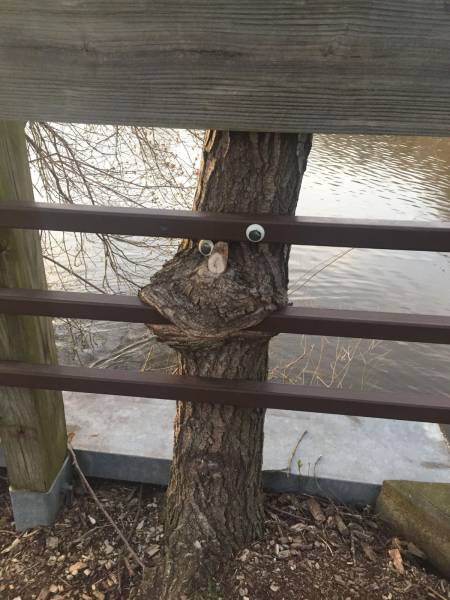 daily picdump 102 pics 29.html - 102 HD Photos | Premium Gallery 2017