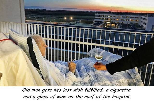 daily picdump 102 pics 29.html - 102 HD Photos | Premium Gallery 2017