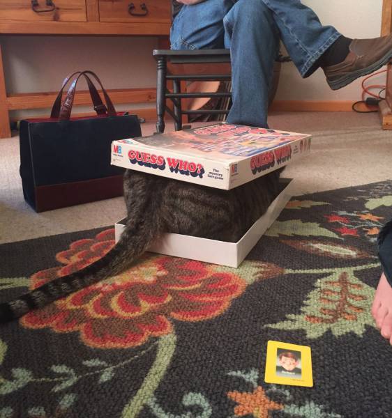 daily picdump 102 pics 29.html - 102 HD Photos | Premium Gallery 2017