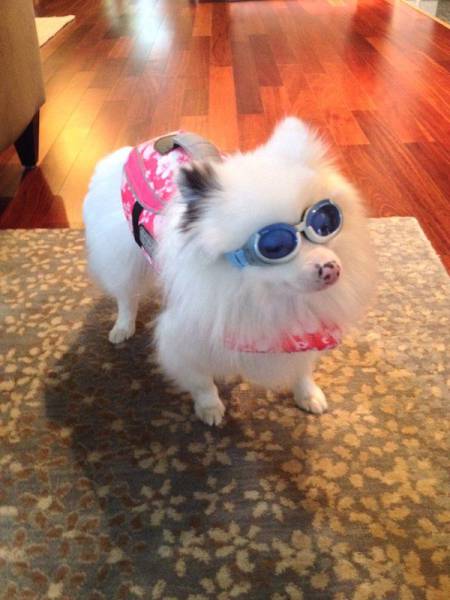 daily picdump 102 pics 29.html - 102 HD Photos | Premium Gallery 2017