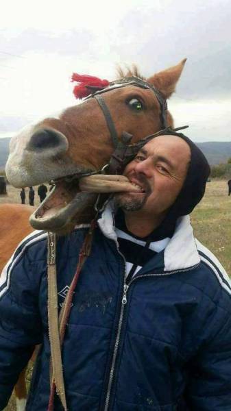 daily picdump 102 pics 29.html - 102 HD Photos | Premium Gallery 2017