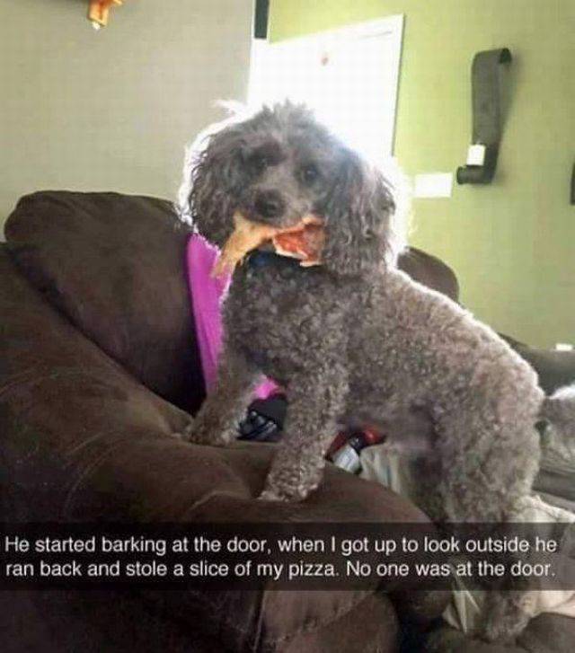 daily picdump 102 pics 29.html - 102 HD Photos | Premium Gallery 2017