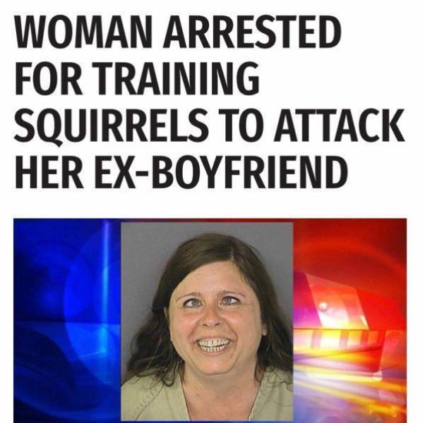 daily picdump 96 pics 1.html - 96 HD Photos | Premium Gallery 2017