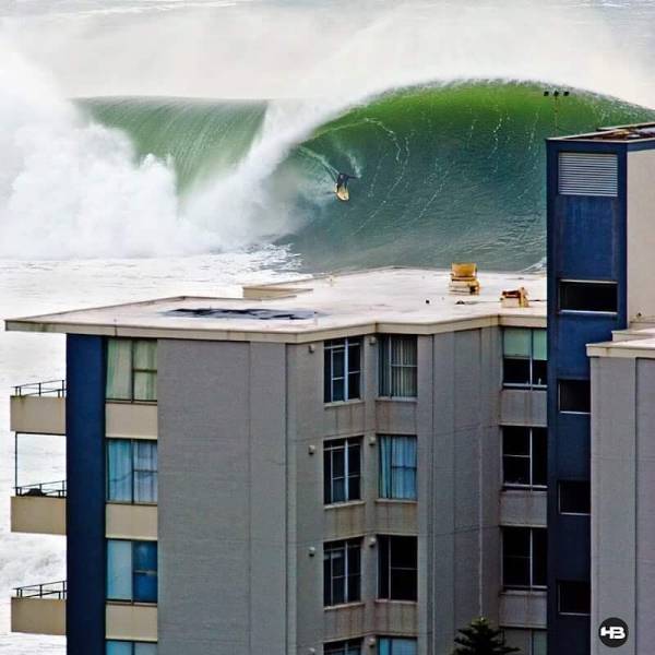 daily picdump 96 pics 1.html - 96 HD Photos | Premium Gallery 2017