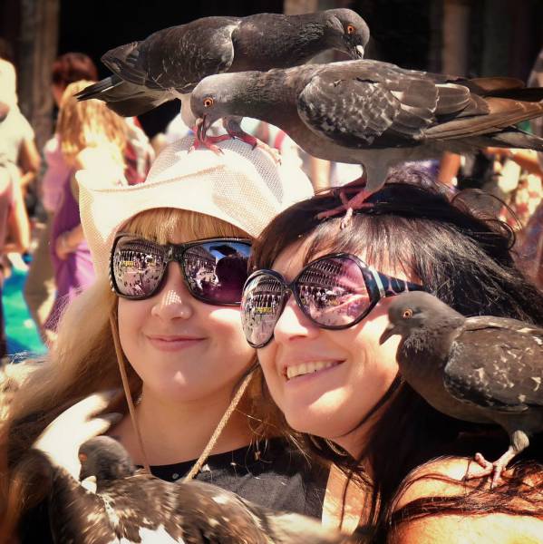 daily picdump 96 pics 1.html - 96 HD Photos | Premium Gallery 2017