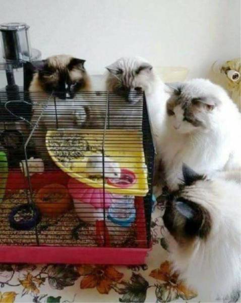 daily picdump 96 pics 1.html - 96 HD Photos | Premium Gallery 2017