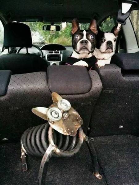 daily picdump 96 pics 1.html - 96 HD Photos | Premium Gallery 2017