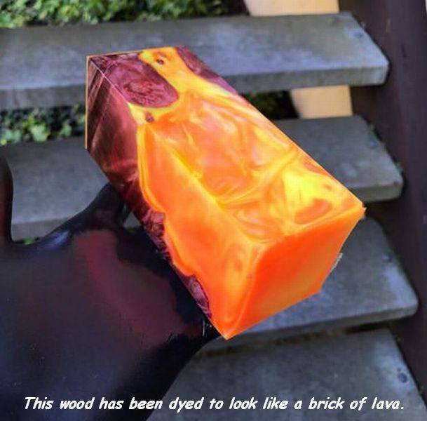 daily picdump 96 pics 1.html - 96 HD Photos | Premium Gallery 2017