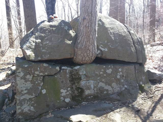 daily picdump 96 pics 1.html - 96 HD Photos | Premium Gallery 2017