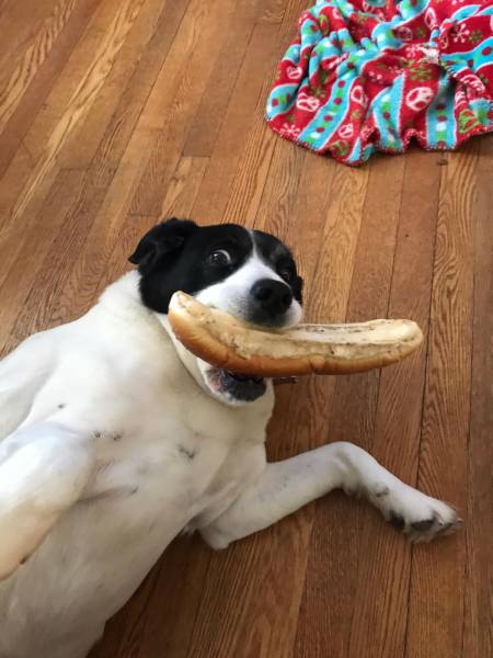 daily picdump 96 pics 1.html - 96 HD Photos | Premium Gallery 2017