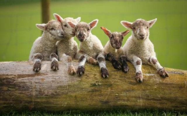 daily picdump 96 pics 1.html - 96 HD Photos | Premium Gallery 2017