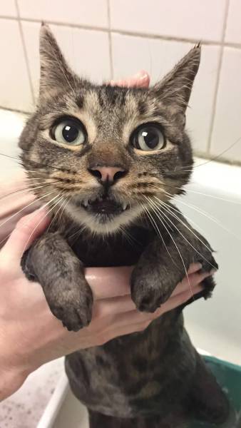 daily picdump 96 pics 1.html - 96 HD Photos | Premium Gallery 2017