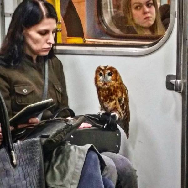 daily picdump 96 pics 1.html - 96 HD Photos | Premium Gallery 2017