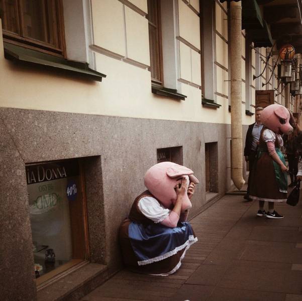 daily picdump 96 pics 1.html - 96 HD Photos | Premium Gallery 2017