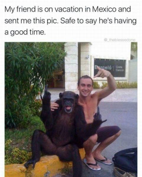 daily picdump 96 pics 1.html - 96 HD Photos | Premium Gallery 2017