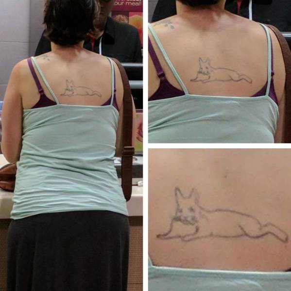 daily picdump 96 pics 1.html - 96 HD Photos | Premium Gallery 2017