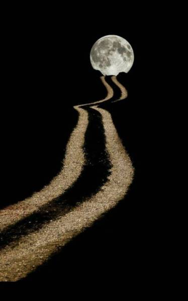 daily picdump 96 pics 1.html - 96 HD Photos | Premium Gallery 2017