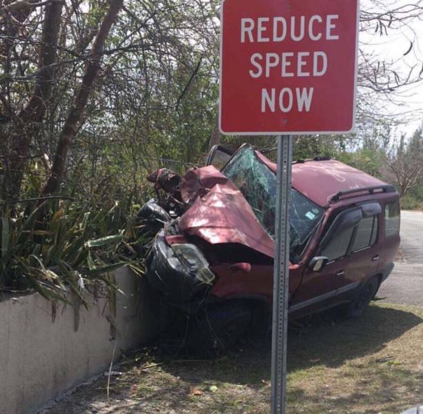 morning picdump 51 pics 10.html - 51 HD Photos | Premium Gallery 2017