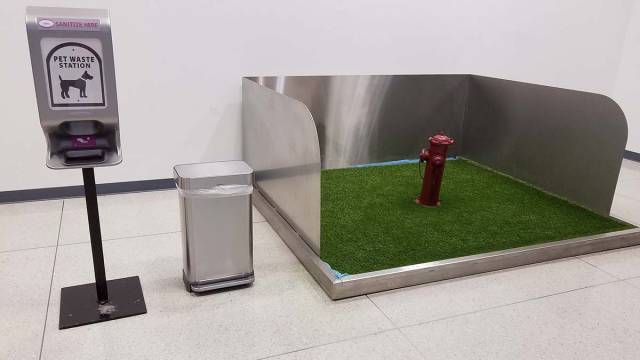 morning picdump 51 pics 10.html - 51 HD Photos | Premium Gallery 2017