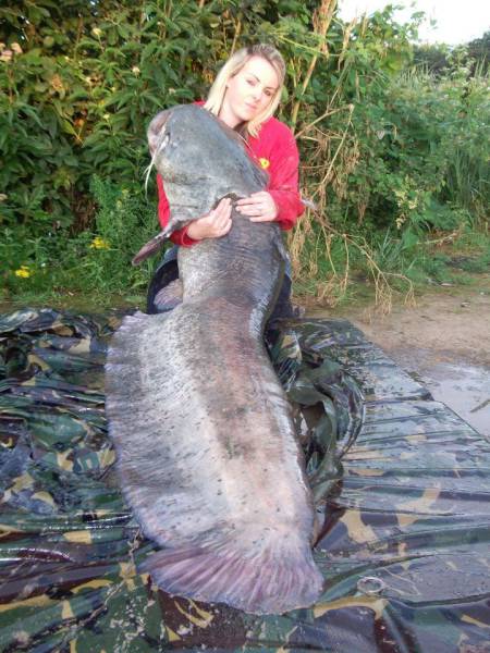 daily picdump 92 pics 33.html - 92 HD Photos | Premium Gallery 2017