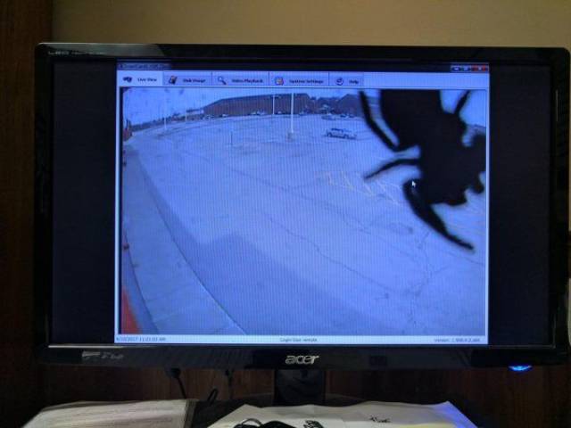 daily picdump 92 pics 33.html - 92 HD Photos | Premium Gallery 2017