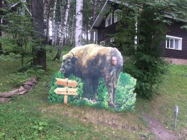 daily picdump 92 pics 33.html - 92 HD Photos | Premium Gallery 2017