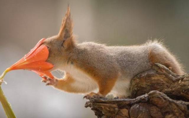 daily picdump 92 pics 33.html - 92 HD Photos | Premium Gallery 2017