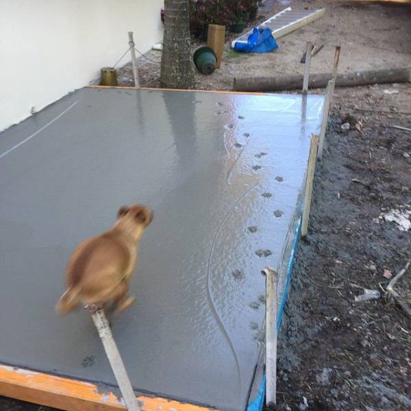 daily picdump 92 pics 33.html - 92 HD Photos | Premium Gallery 2017