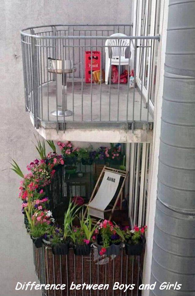 daily picdump 92 pics 33.html - 92 HD Photos | Premium Gallery 2017