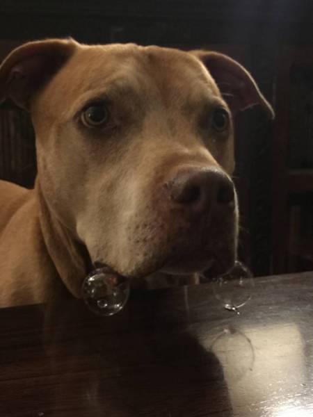 morning picdump 50 pics 8.html - 50 HD Photos | Premium Gallery 2017