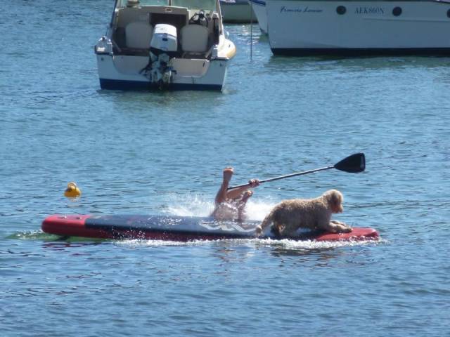 daily picdump 98 pics 3.html - 98 HD Photos | Premium Gallery 2017