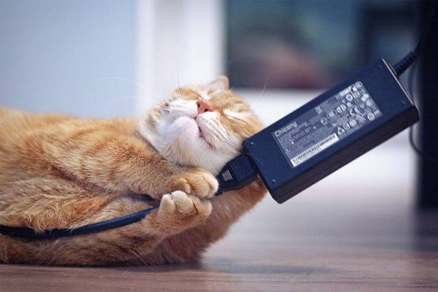 daily picdump 96 pics 36.html - 96 HD Photos | Premium Gallery 2017