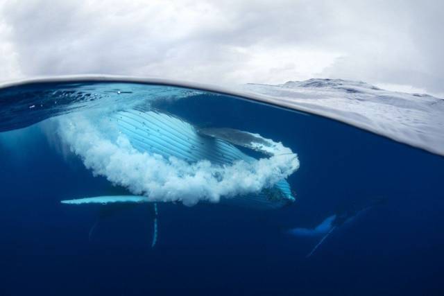 daily picdump 96 pics 36.html - 96 HD Photos | Premium Gallery 2017