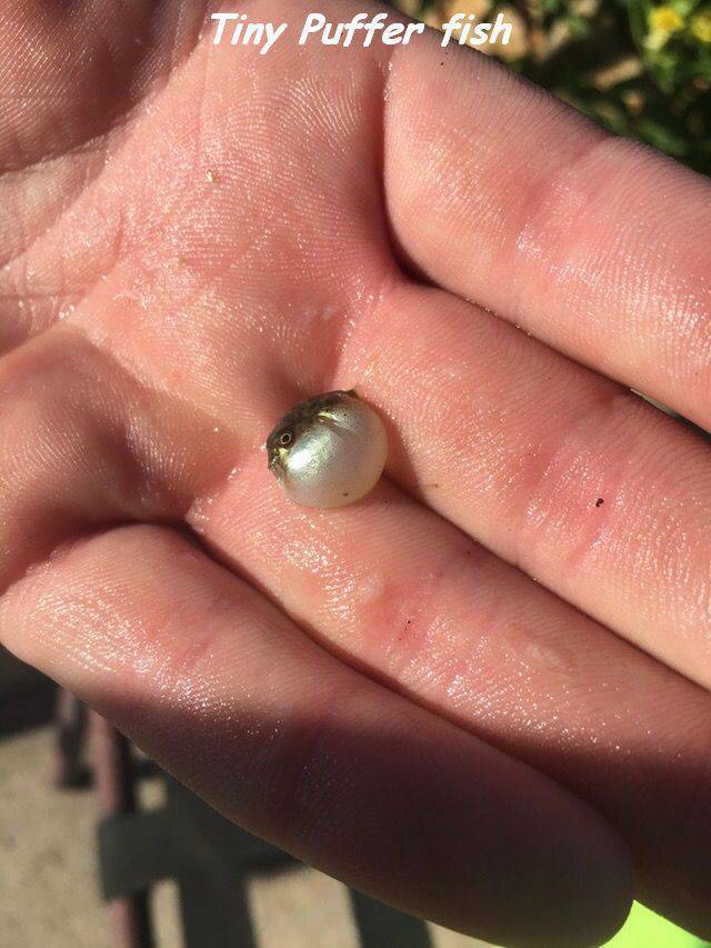 daily picdump 96 pics 36.html - 96 HD Photos | Premium Gallery 2017