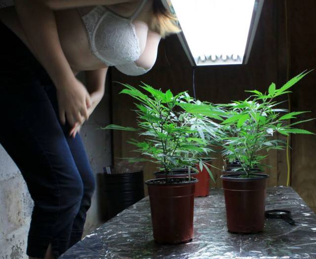 grownup corner 63 pics 4 gifs 2.html - 63 HD GIF | Premium Gallery 2017