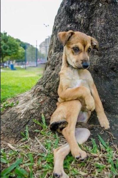 morning picdump 50 pics 18.html - 50 HD Photos | Premium Gallery 2017