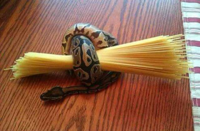 daily picdump weekend edition 73 pics 9.html - 73 HD Photos | Premium Gallery 2017