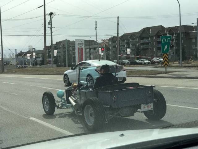 daily picdump weekend edition 73 pics 9.html - 73 HD Photos | Premium Gallery 2017