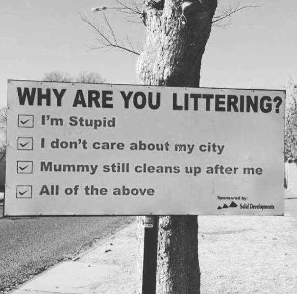 daily picdump weekend edition 73 pics 9.html - 73 HD Photos | Premium Gallery 2017