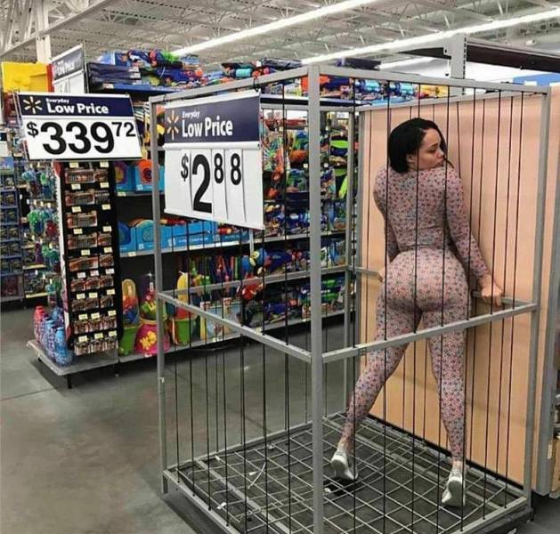 daily picdump weekend edition 73 pics 9.html - 73 HD Photos | Premium Gallery 2017