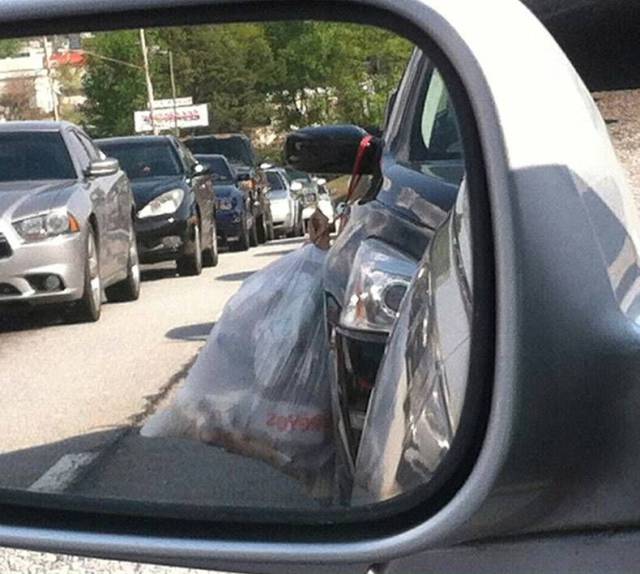 daily picdump weekend edition 73 pics 9.html - 73 HD Photos | Premium Gallery 2017