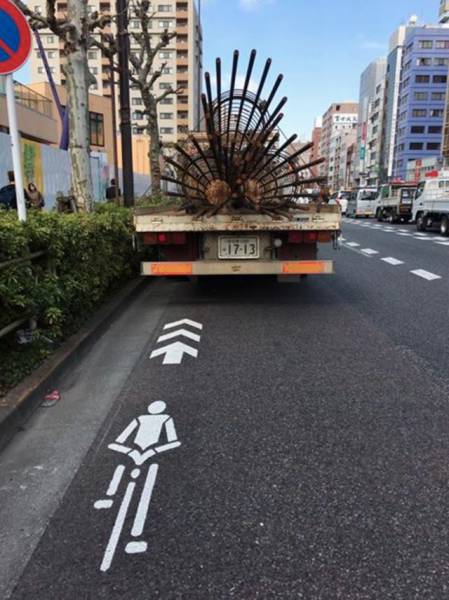 daily picdump weekend edition 73 pics 9.html - 73 HD Photos | Premium Gallery 2017