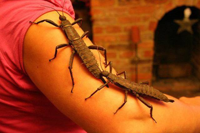 daily picdump 95 pics 22.html - 95 HD Photos | Premium Gallery 2017