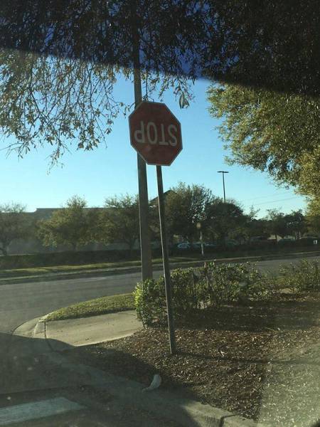 daily picdump 95 pics 22.html - 95 HD Photos | Premium Gallery 2017