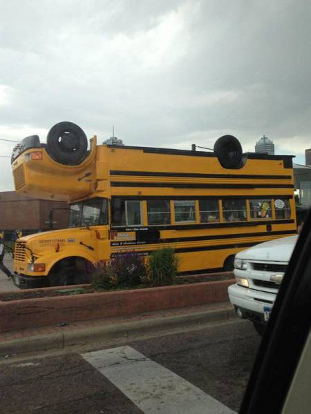 daily picdump 95 pics 22.html - 95 HD Photos | Premium Gallery 2017