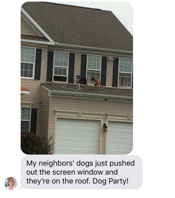 daily picdump 95 pics 22.html - 95 HD Photos | Premium Gallery 2017